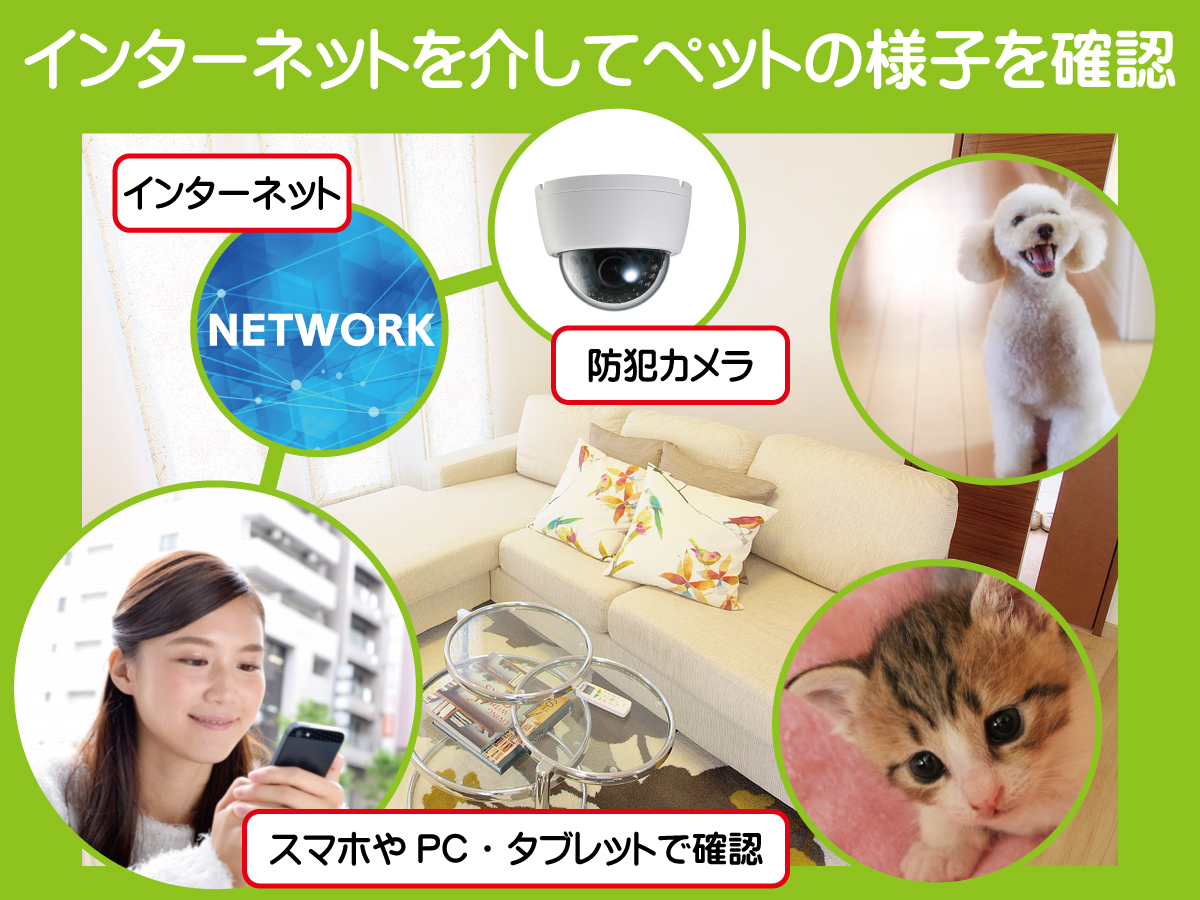 神戸防犯カメラセンター　防犯カメラでペットの安全を見守る2