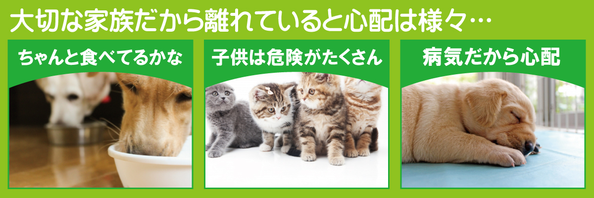 神戸防犯カメラセンター　防犯カメラでペットの安全を見守る3