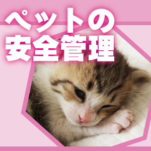 神戸防犯カメラセンター　ペットの安全対策