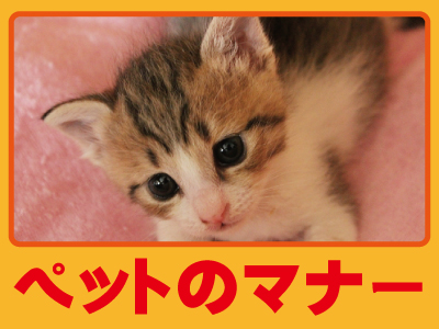 神戸防犯カメラセンター　マンション住人のトラブル抑止に防犯カメラ3