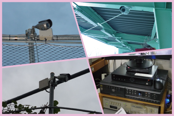 明石市のゴルフ練習場での防犯カメラ設置事例