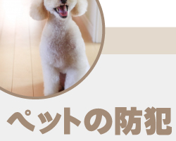 神戸・兵庫の防犯カメラ・監視カメラでペットの安全管理